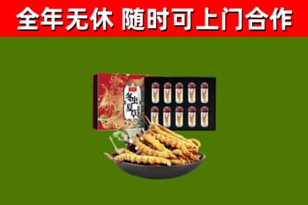 长治烟酒回收冬虫夏草礼盒.jpg